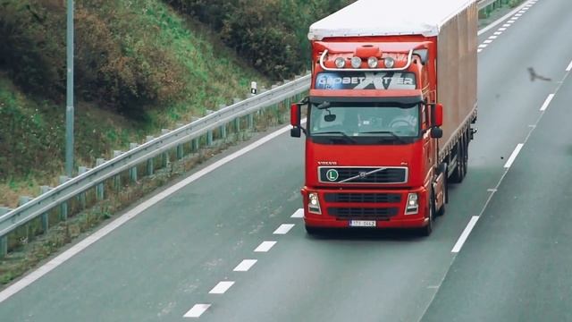 Волки на дороге. смотреть онлайн