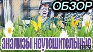 САМВЕЛ АДАМЯН, ОБЗОР ОТ АЛЕНЫ, ("ЛЕСНОЕ ЭХО"), АДАМЯН УСТАЛ ОТ МАМЫ И ОТ ЕЕ БОЛЕЗНЕЙ, СЕРДЦЕ..