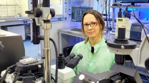 О деятельности лаборатории "Графеновые нанотехнологии" ФТИ СВФУ имени М.К. Аммосова