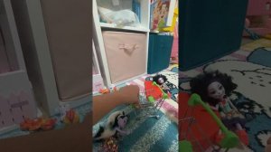 МИШКИ ИЗ ПЕРЕКРЁСТКА!