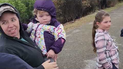 Канадская семья в НН.. Walking Into Gator Territory in Southern Florida… (Unreal Wildlife!) смотреть онлайн