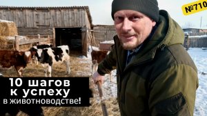 10 шагов к прибыльной ферме разводим крупный рогатый скот