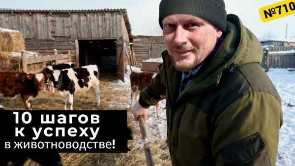 10 шагов к прибыльной ферме разводим крупный рогатый скот