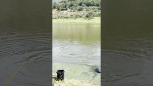 Удилище Browka Excalibur