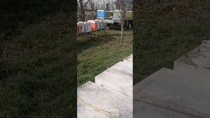 Пасека в Абрау