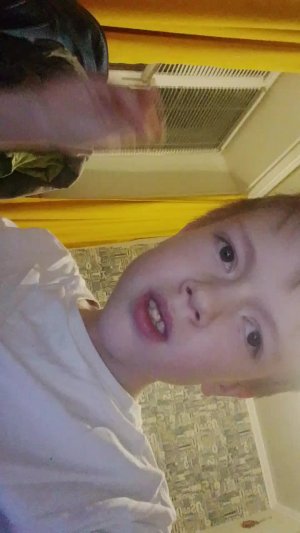 пою песни домера