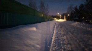 Ворон Гриша, морозное утро