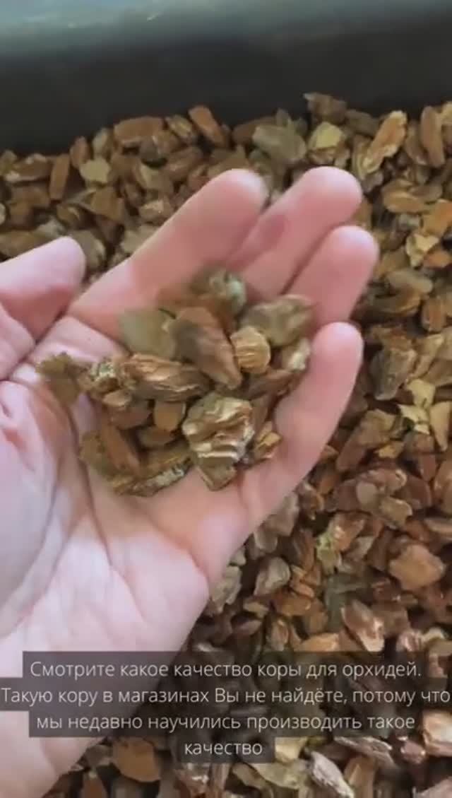На производстве грунтов для орхидей Орхимания от Баркинвуд