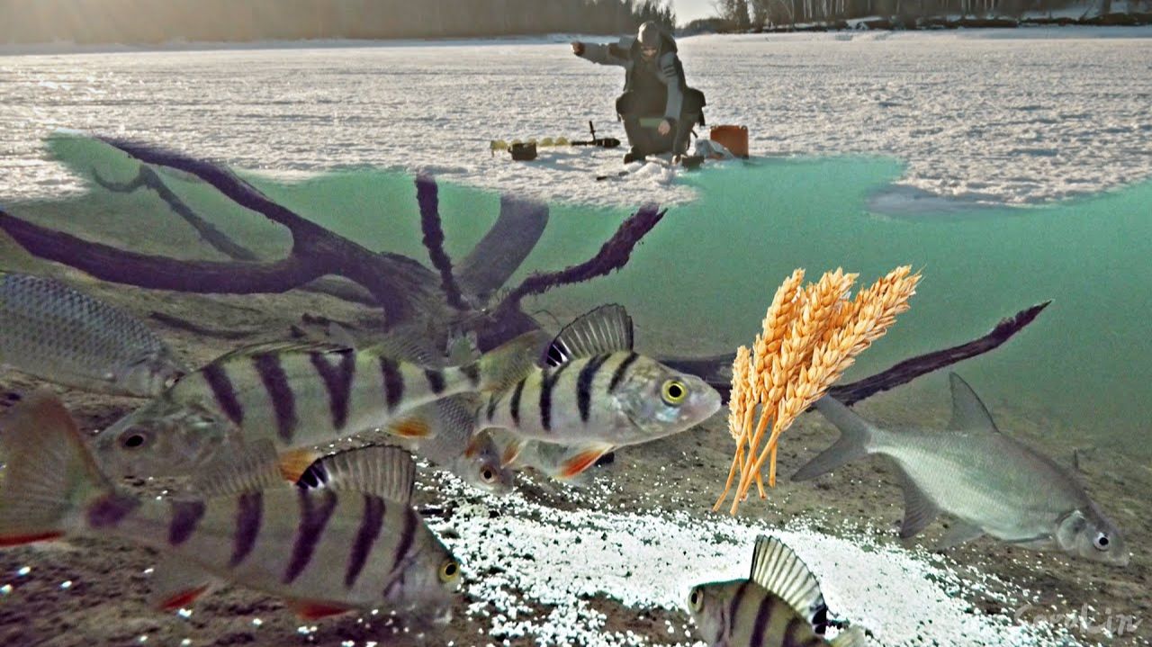 Лучшая Зимняя Рыбалка 2026 с Подводной Камерой и Эхолотом. Рыбай не Уйдёт! Ловлю Всю Рыбу!