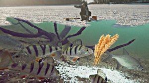 Лучшая Зимняя Рыбалка 2026 с Подводной Камерой и Эхолотом. Рыбай не Уйдёт! Ловлю Всю Рыбу!