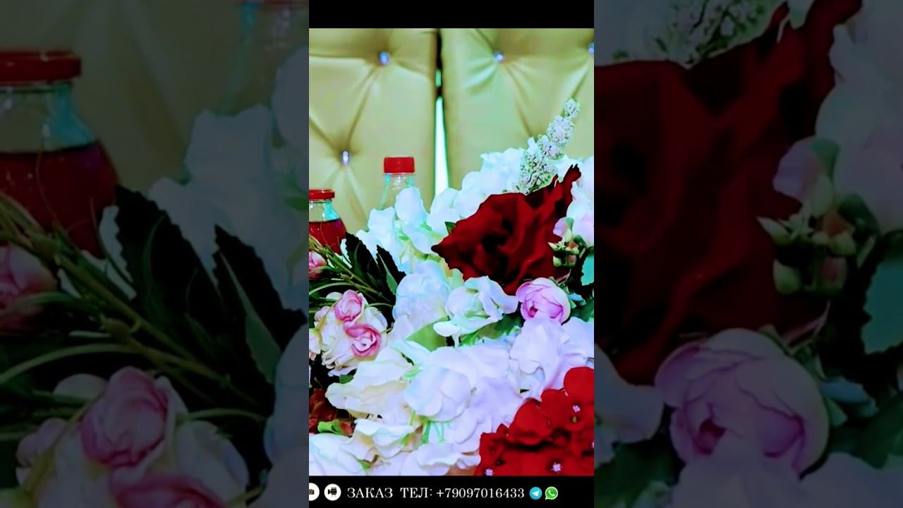 Видеосъёмка смотреть онлайн