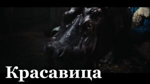 В ЛНР стартовал прокат фильма «Красавица»