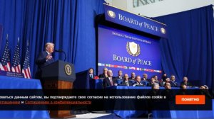 После заседания Совета мира произошла драка с участием охраны Алиева