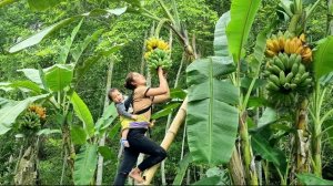 Мама поневоле. Дуонг. Плетение бамбуковых корзин для кур несушек и сбор урожая бананов. Серия 57