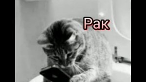 Я зделала стилус! 👋👋👋👋👋😡