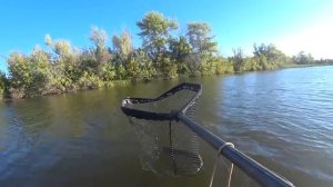 ЭТО ЗА 4 ЧАСА!!! ТАКИЕ СНАСТИ НАДО ЗАПРЕТИТЬ! Судак и щука на живца. Рыбалка в Астрахани 2024.