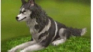 Я опять поменяла интро