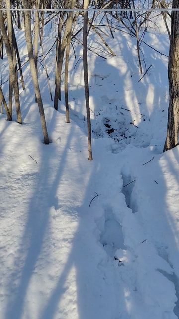 Февраль 2026, ч.2