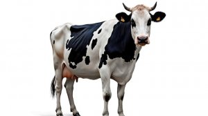 WIN_20260220_20_14_16_Pro