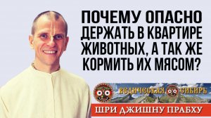Почему опасно держать в квартире животных, а так же кормить их мясом?