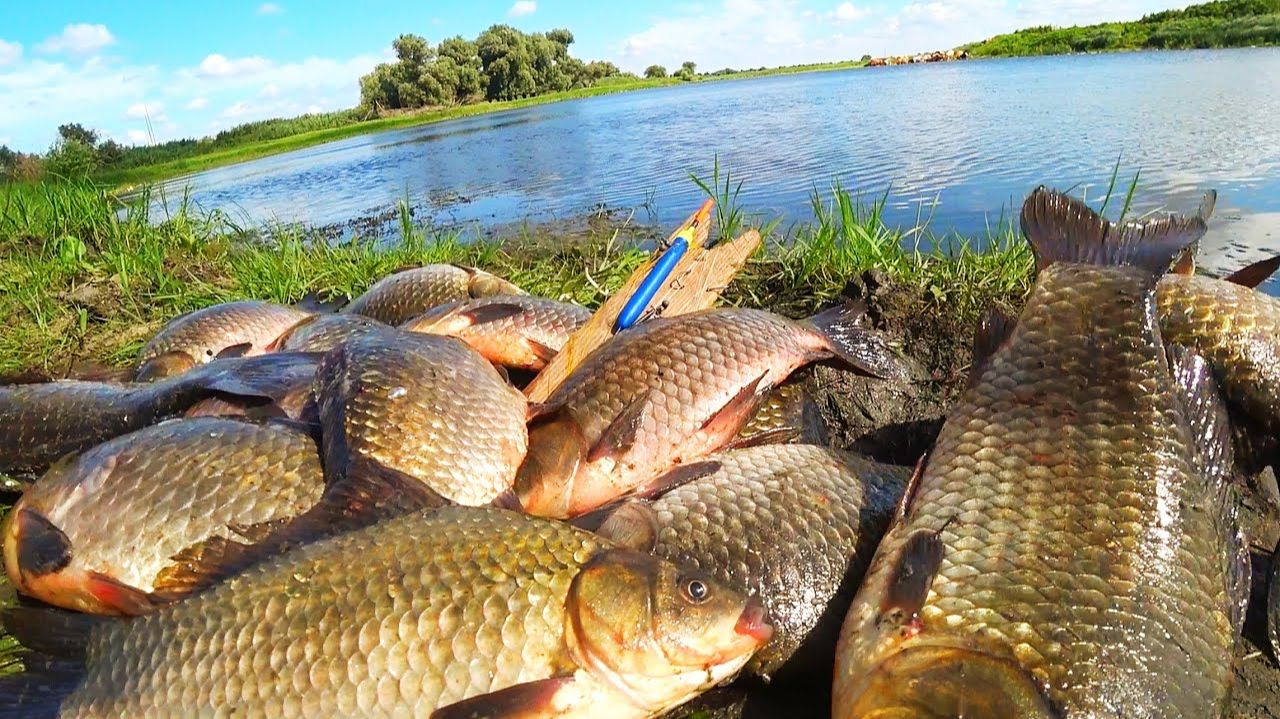 Крутая Рыбная Ловля СИБИРИЯ в Сибири Новинка Смотреть Онлайн Русская Рыбалка Без Рекламы Рутуб Крутая Рыбная Ловля СИБИРИЯ в Сибири Новинка Смотреть Онлайн Русская Рыбалка Без Рекламы Рутуб