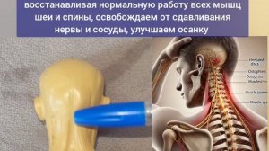 Спазм мышц атланто-ушной линии вредит здоровью шеи и мозга. Упражнения для атланта и аксиса