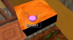 Что есть интересного в кинито пет?