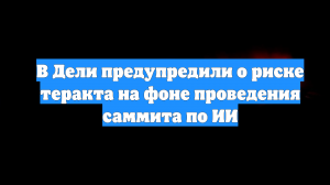 В Дели предупредили о риске теракта на фоне проведения саммита по ИИ