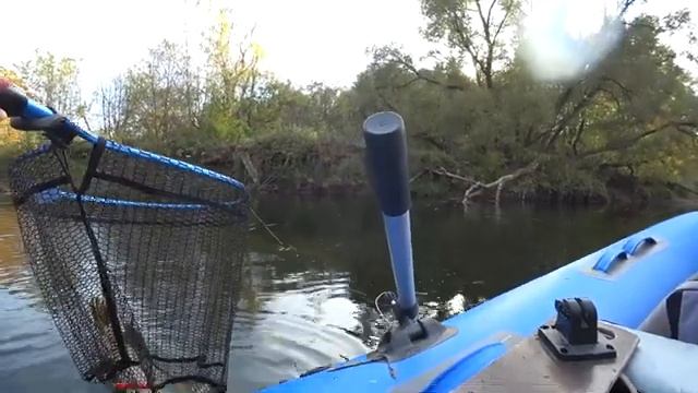 ЭТО ЖЕСТЬ. ЩУКА КАННИБАЛ атаковала рыбу которую я тащил и обе угодили в подсак. Рыбалка на спиннинг смотреть онлайн