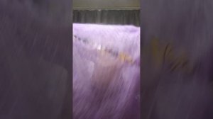 1000246337.mp4 Пуховая красота.т.89020931602