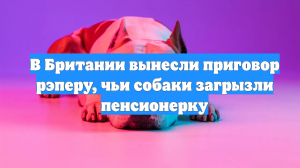 В Британии вынесли приговор рэперу, чьи собаки загрызли пенсионерку