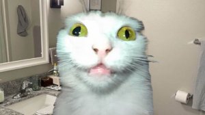 Dota2 в полном муте, а вежливость все ниже и ниже