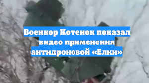 Военкор Котенок показал видео применения антидроновой «Елки»