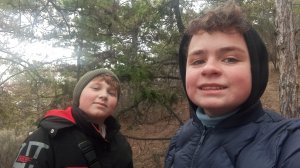 Делаем хижину в лесу с загумкой!