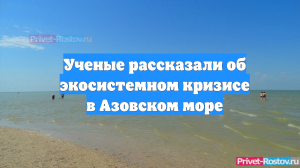 Ученые рассказали об экосистемном кризисе в Азовском море