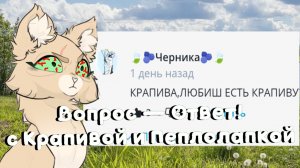 Вопрос- Ответ// Вы ждали и получили!//