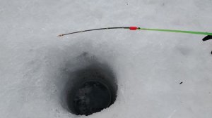 Внука завлек на зимнею рыбалку. ФЕВРАЛЬ 2026г