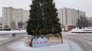 А у вас убрали ёлки?🌲У нас стоят пока,напоминают Новый год😄👍♥️