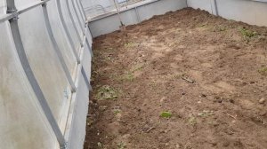 обзор теплицы 20211017_140558 рутуб