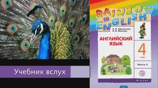 Rainbow English 4-1, Unit 1 Step 5, Английский язык 4 класс ч.1, Афанасьева, Михеева.