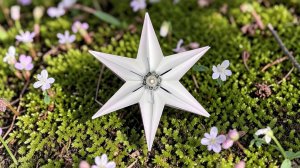 Как сделать бумажную звезду