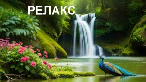 Звуки природы - 126 минут релаксации.