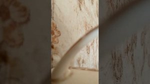 Евангелие от Матфея 2 и 3 главы