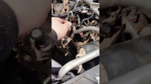 VID_20260221_204610.mp4