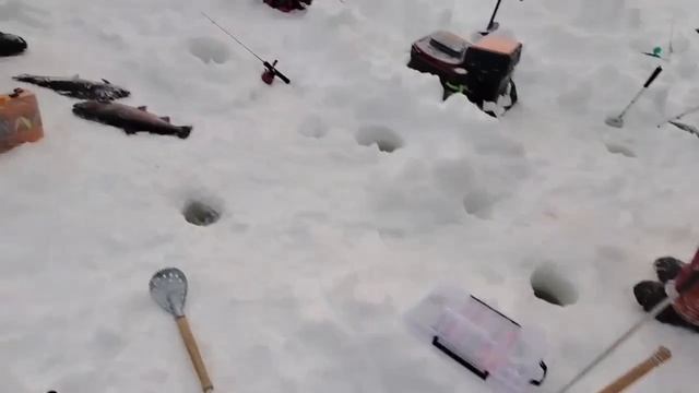 21.02.26 г. РК Волна. смотреть онлайн