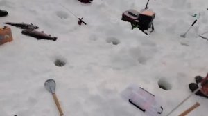 21.02.26 г. РК Волна.