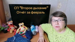 Отчёт в СП "Второе дыхание" за февраль. Связала кота сердечного и носки из остатков пряжи. 👍🐎❗