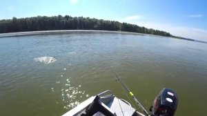 НА РЫБАЛКУ НА САМОЛЁТЕ! Крокодилы растерзали спиннинг! ДВА ТРОФЕЯ в один день !