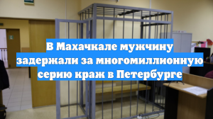 В Махачкале мужчину задержали за многомиллионную серию краж в Петербурге