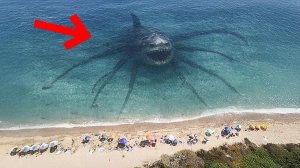 Учёные обнаружили крупнейшую в мире морскую рептилию